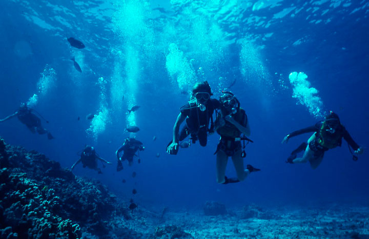 scuba diving molokini