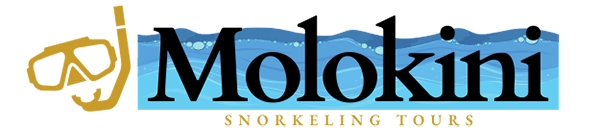 Molokini Snorkeling Tours